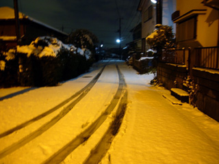 写真: 雪上の轍 (2008.2.9)
