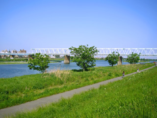 写真: 多摩川の川原から その1 (2008.5.6)