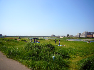 写真: 多摩川の川原から その2 (2008.5.6)