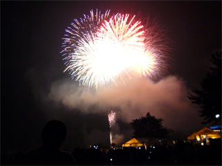 写真: 湖上祭の花火 2008 その11 (2008.8.1)