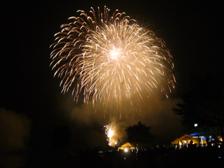 写真: 湖上祭の花火 2008 その12 (2008.8.1)