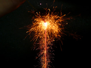写真: 線香花火の落ちる瞬間が撮れました。 (2009.9.7)